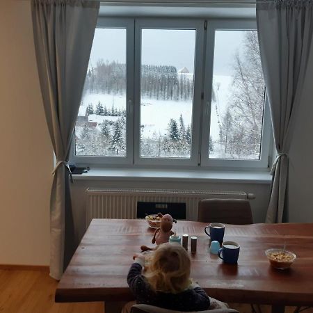 Apartman U Kunstatskeho Mlyna Apartment Orlicke Zahori Luaran gambar