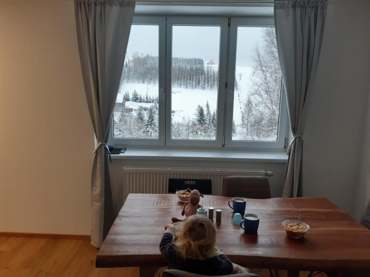 Apartman U Kunstatskeho Mlyna Apartment Orlicke Zahori Luaran gambar