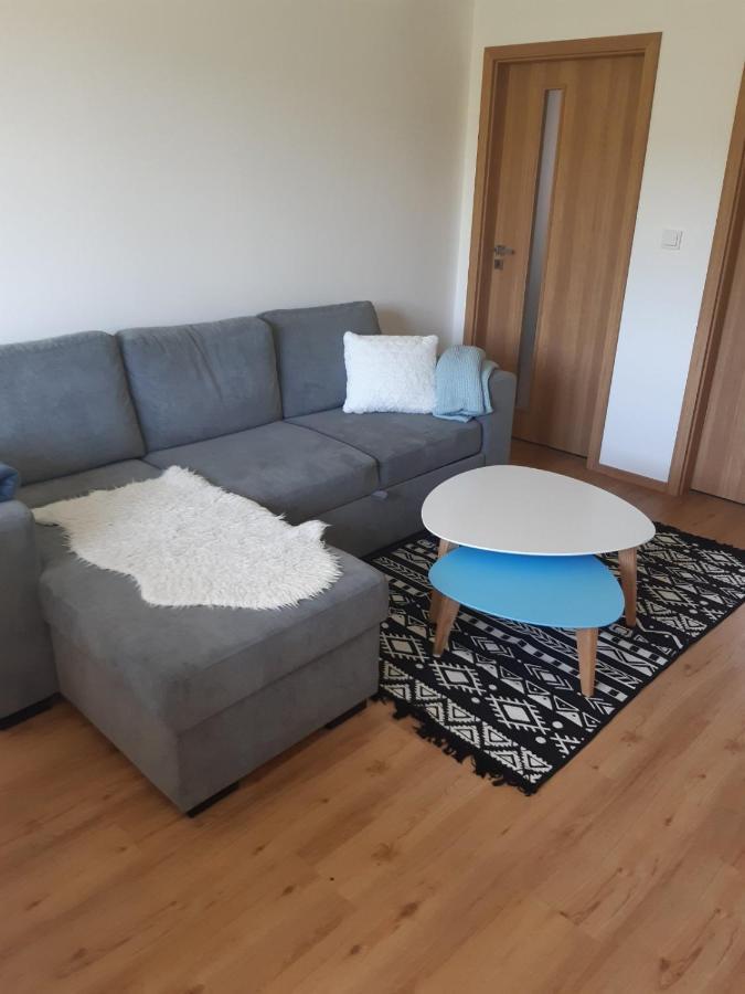 Apartman U Kunstatskeho Mlyna Apartment Orlicke Zahori Luaran gambar