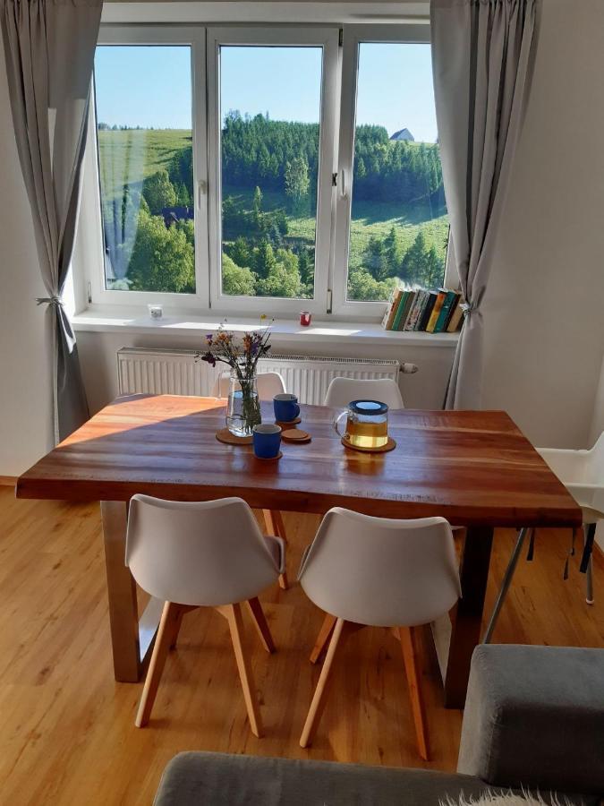 Apartman U Kunstatskeho Mlyna Orlicke Zahori Luaran gambar