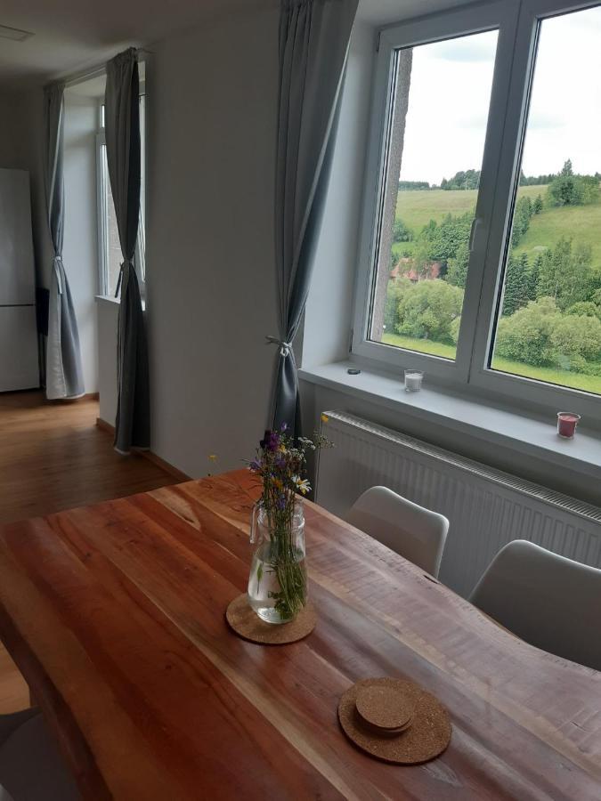 Apartman U Kunstatskeho Mlyna Apartment Orlicke Zahori Luaran gambar