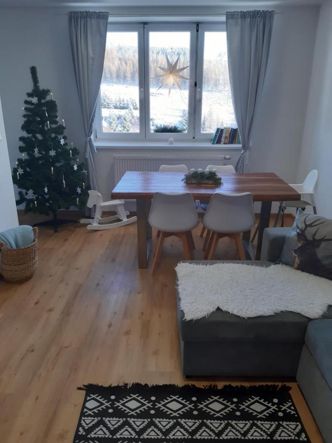 Apartman U Kunstatskeho Mlyna Apartment Orlicke Zahori Luaran gambar