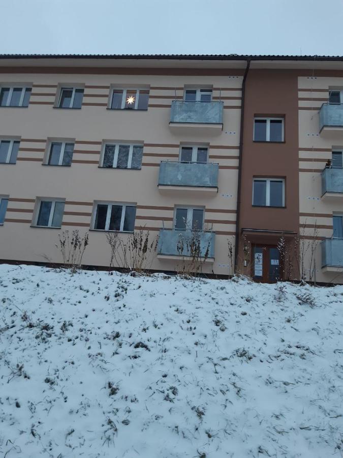 Apartman U Kunstatskeho Mlyna Apartment Orlicke Zahori Luaran gambar