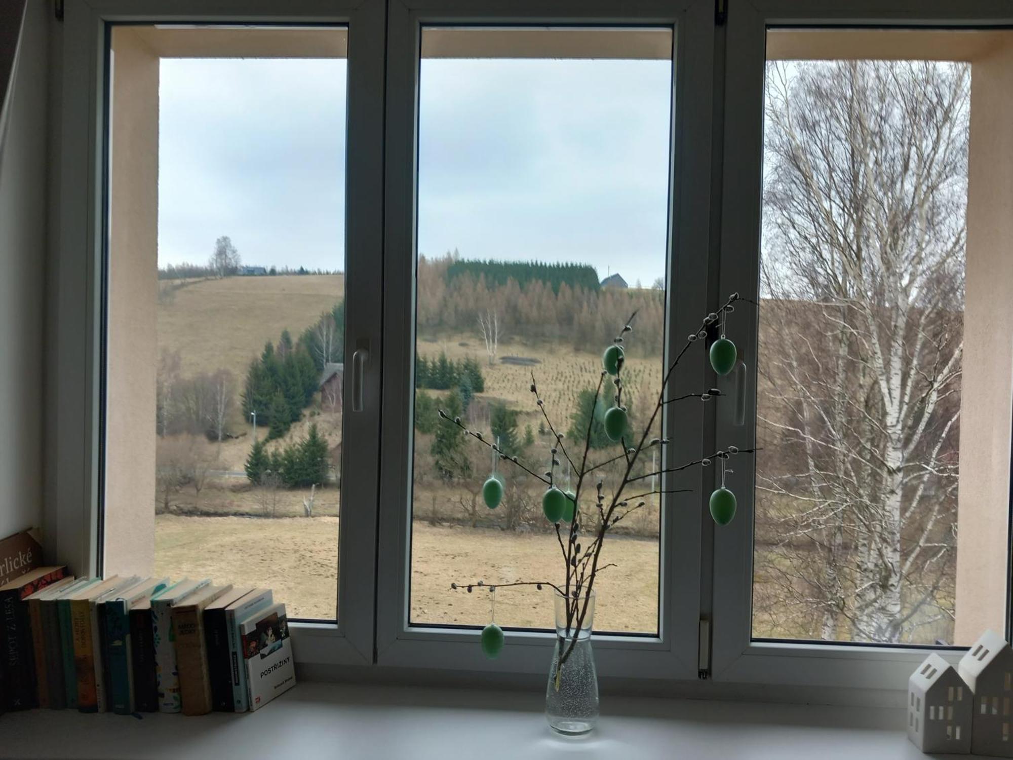 Apartman U Kunstatskeho Mlyna Orlicke Zahori Luaran gambar